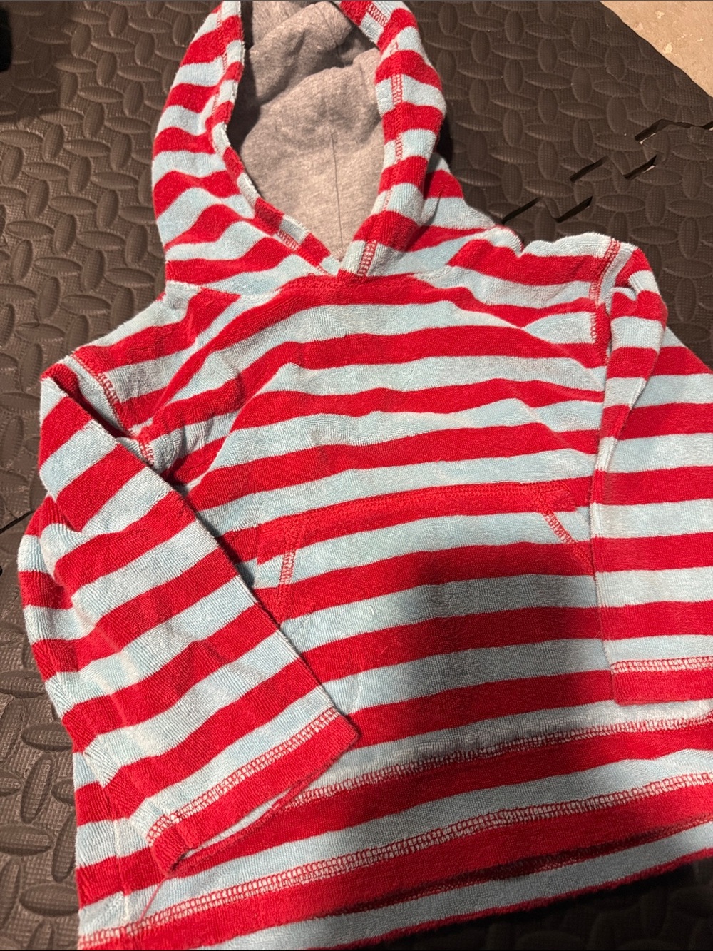 Mini Biden Red & Light Blue Striped Kids Hoodie